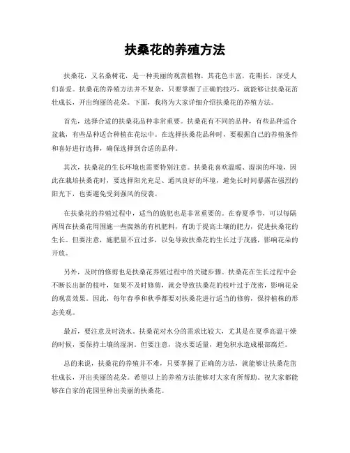 扶桑花的养殖方法