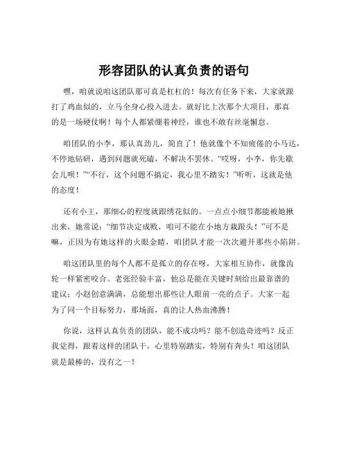 形容团队的认真负责的语句