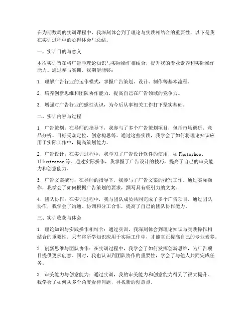广告学实训课程总结报告