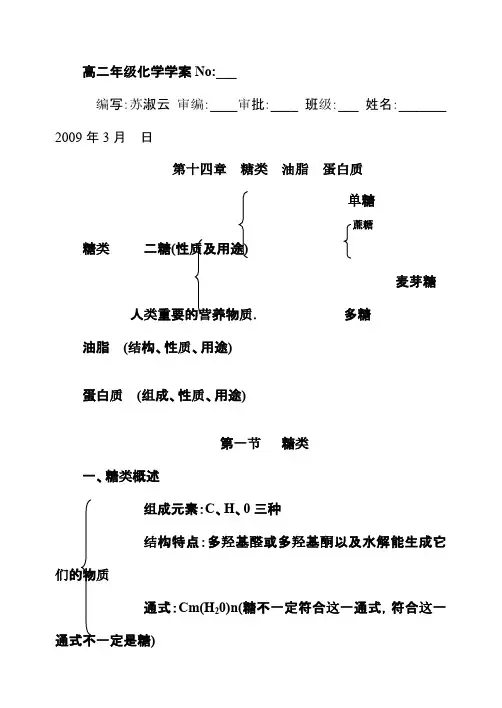 糖类-油脂-蛋白质