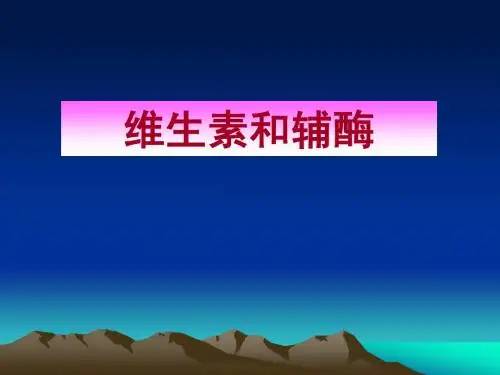 04维生素与辅酶