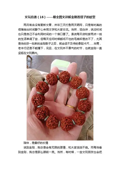 文玩拾遗（16）——最全图文详解金刚菩提子的桩型