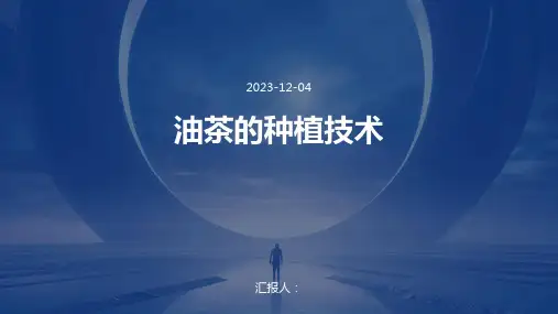油茶的种植技术