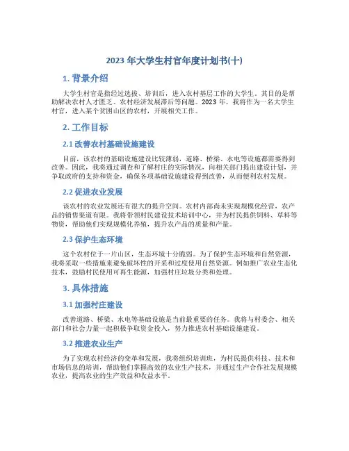 2023年大学生村官年度计划书(十)