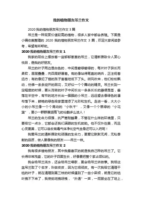 我的植物朋友吊兰作文
