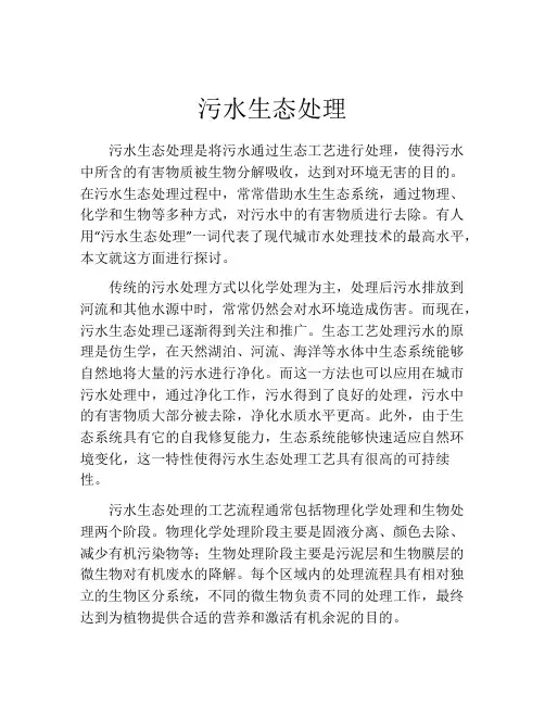 污水生态处理