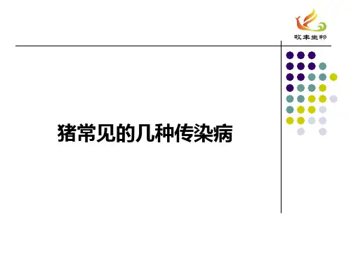 猪常见的几种传染病