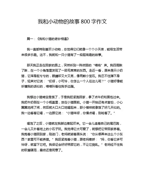 我和小动物的故事800字作文