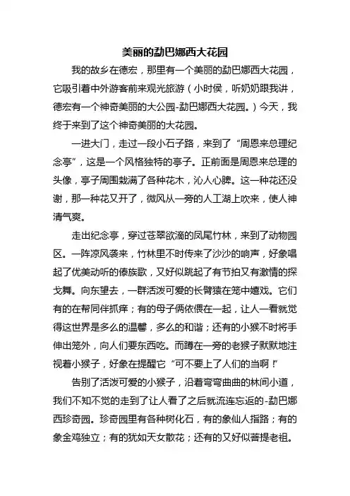 游勐巴娜西大花园