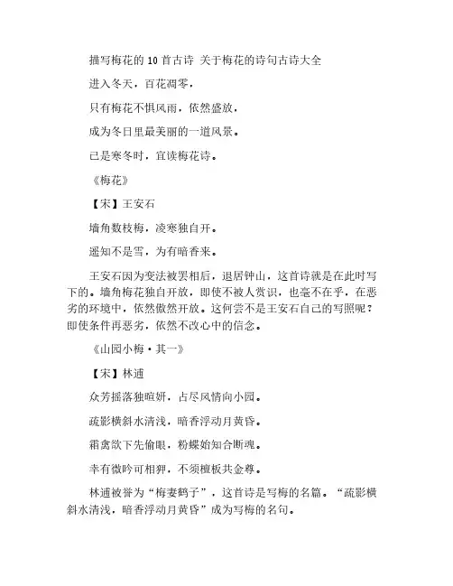 描写梅花的10首古诗 关于梅花的诗句古诗大全