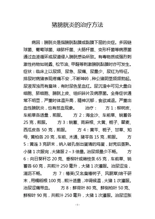 猪膀胱炎的治疗方法