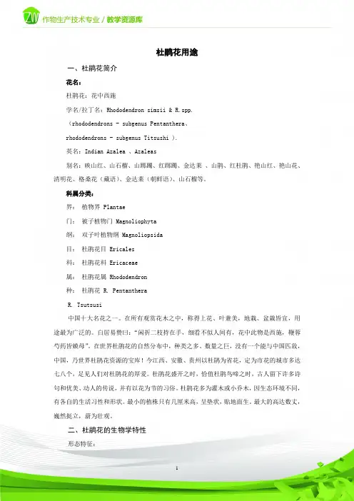 杜鹃花的品质鉴定.