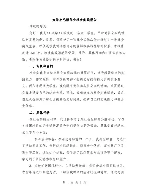大学生毛概作业社会实践报告