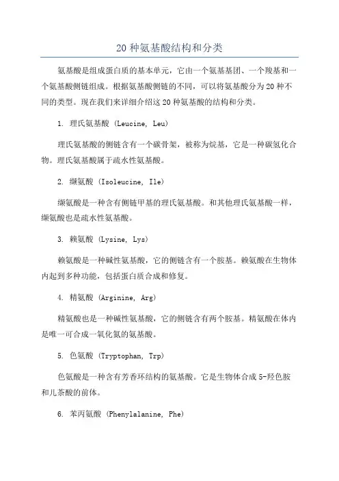 20种氨基酸结构和分类