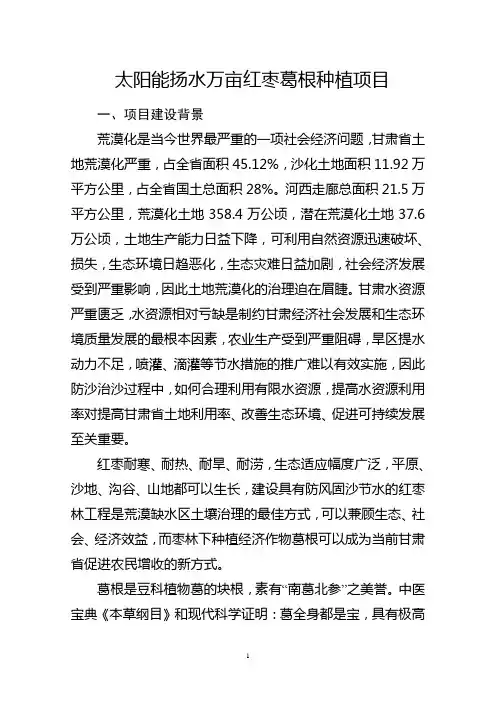 葛根项目建议书(定)详解