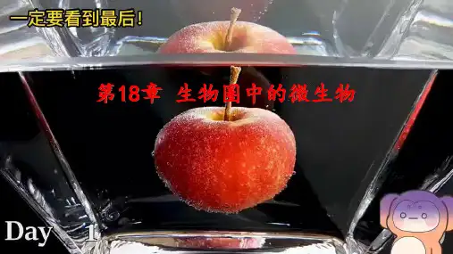 〖生 物〗微生物在生物圈中的作用课件2024-2025学年北师大版生物八年级上册