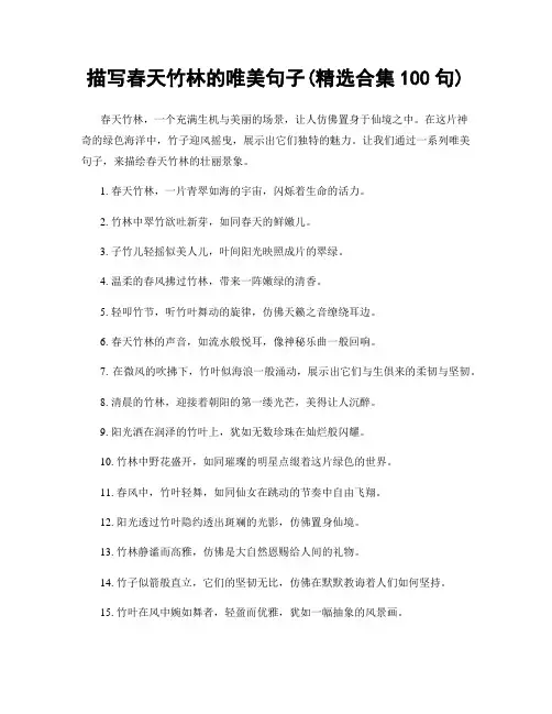 描写春天竹林的唯美句子(精选合集100句)