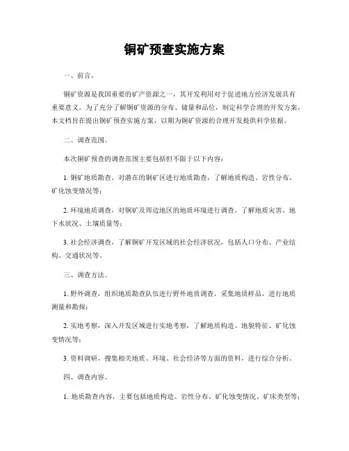 铜矿预查实施方案