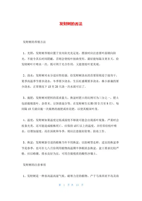 发财树的养法