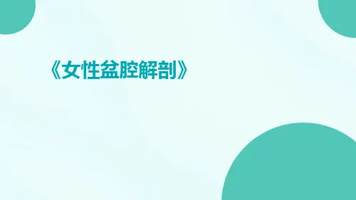 (医学课件)女性盆腔解剖