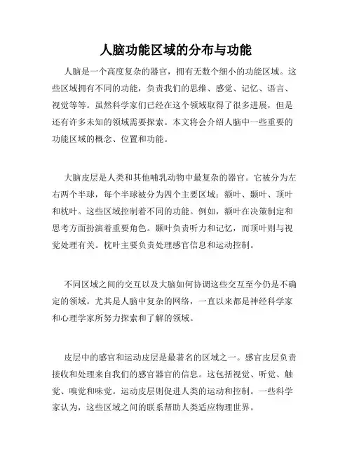 人脑功能区域的分布与功能
