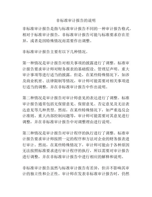 非标准审计报告的说明