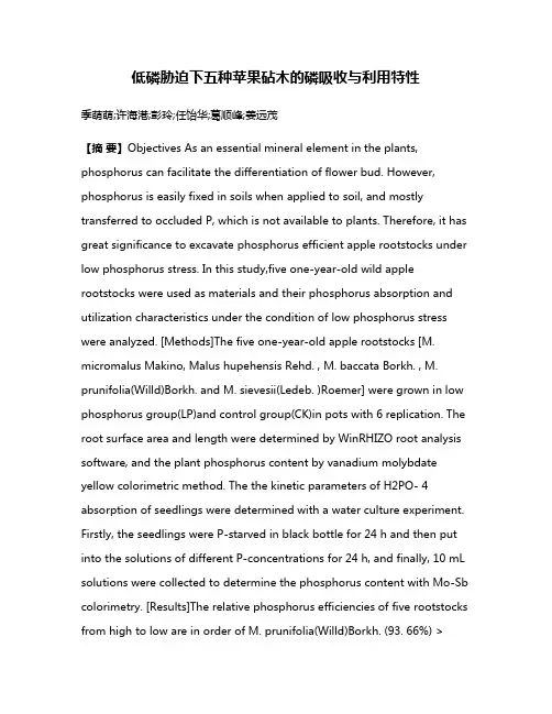 低磷胁迫下五种苹果砧木的磷吸收与利用特性