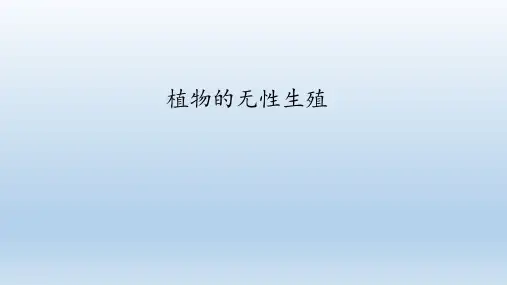 济南版八年级生物上册：1.7 植物的无性生殖  课件