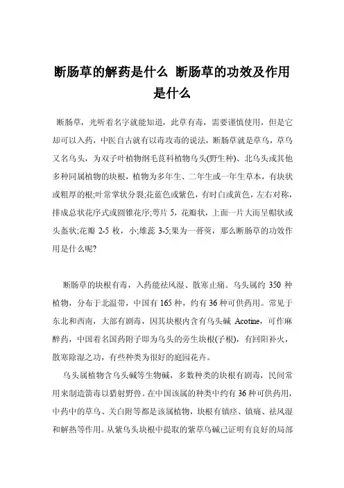 断肠草的解药是什么断肠草的功效及作用是什么