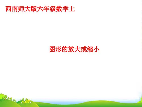 新西师大版六年级数学上册《图形的放大与缩小》优课件