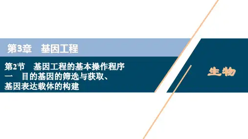 高中生物新人教版选择性必修3目的基因的筛选与获取基因表达载体的构建(41张)课件