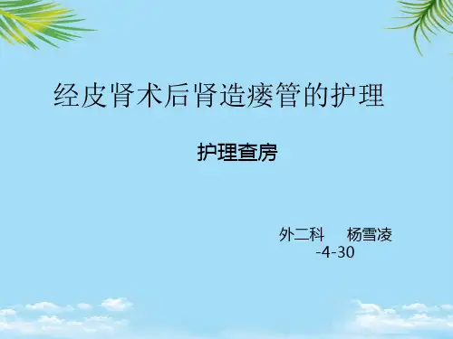 【精】经皮肾术后肾造瘘管的护理