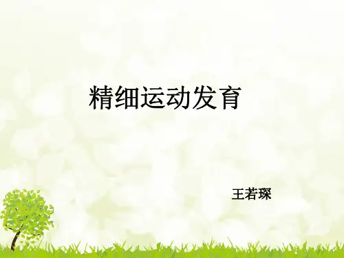 精细运动发育