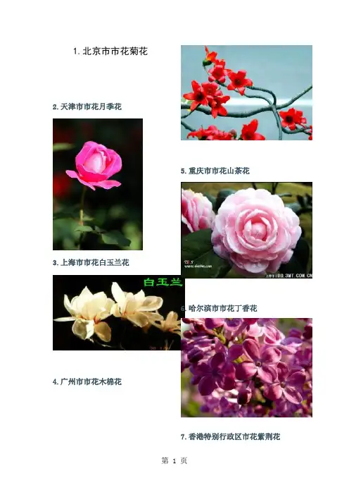 中国56个城市的市花名片共10页word资料