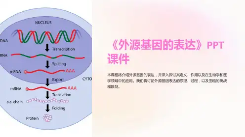 《外源基因的表达》课件