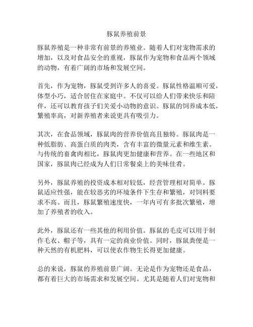 豚鼠养殖前景