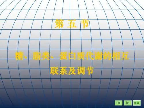 9章蛋白质代谢 共59页