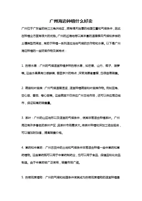 广州海边种植什么好卖