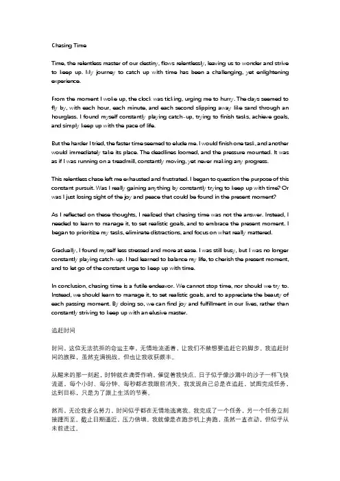 我追赶时间的作文600字