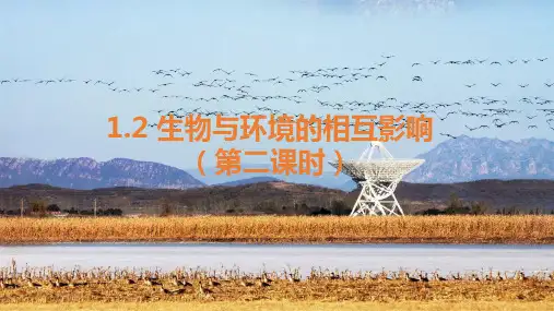 2023--2024学年北师大版生物七年级上册1