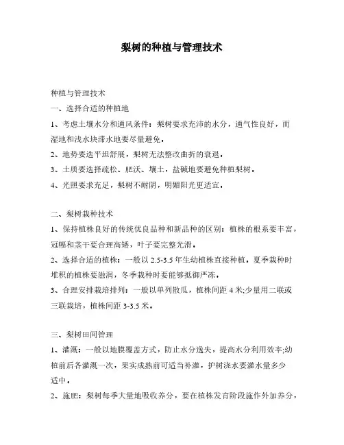 梨树的种植与管理技术
