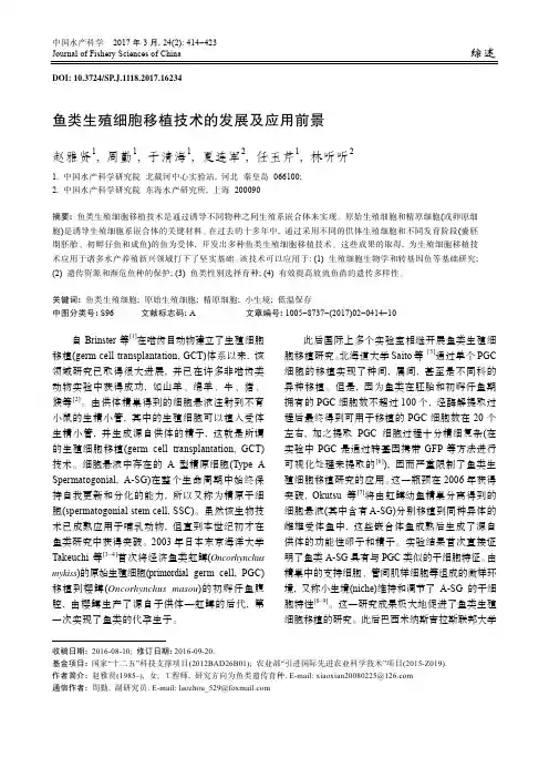 鱼类生殖细胞移植技术的发展及应用前景