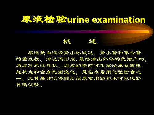 14 诊断学 尿液检验 课件