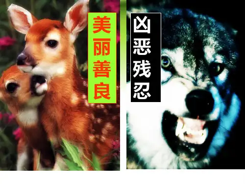 部编六年级上人教《14 鹿和狼的故事》王靖靖PPT课件 一等奖新名师优质课获奖比赛公开免费下载