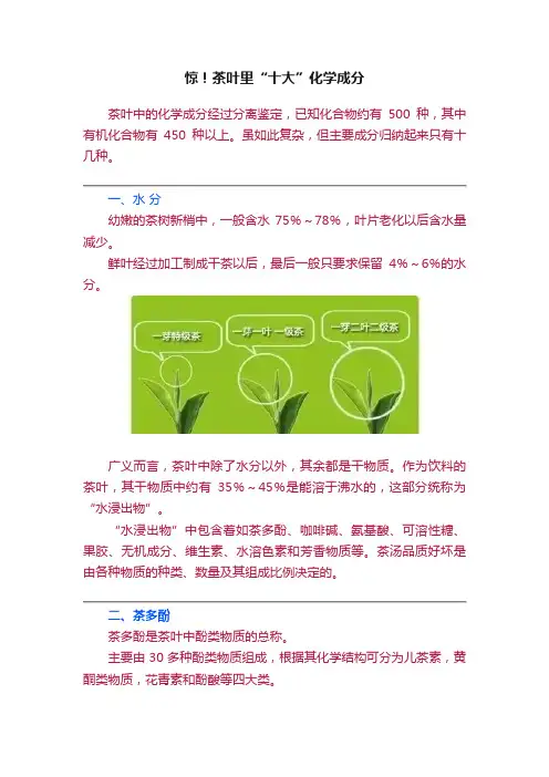 惊！茶叶里“十大”化学成分