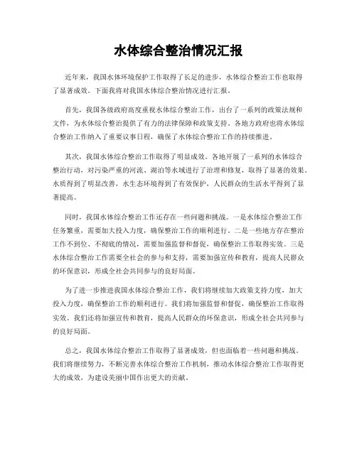 水体综合整治情况汇报