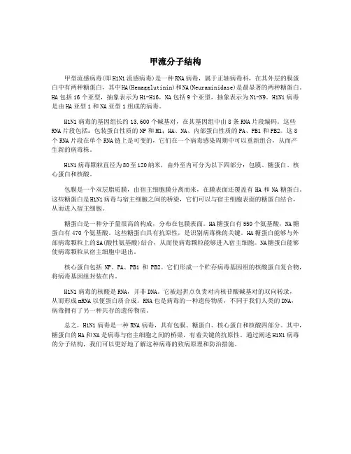 甲流分子结构