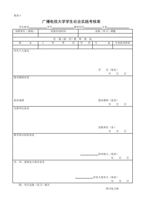 社会实践评审表