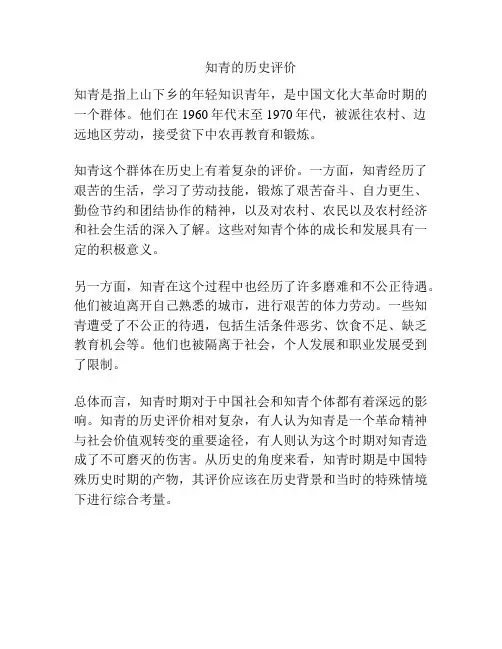 知青的历史评价