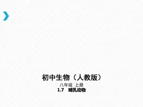 第七节哺乳动物